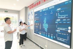 “插不了手” “控不了标” “做不了假” “作不了弊” 海南从“机器管招投标”到“机器管+”