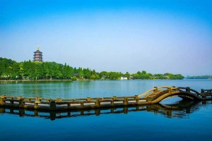 浙江杭州积极打造优质的数字化营商环境