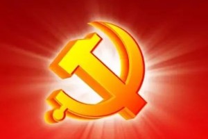 党支部、党小组、党委、党工委、党组……这些概念你都清楚吗