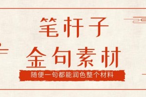 笔杆子必看的高质量排比句（第五十五期）