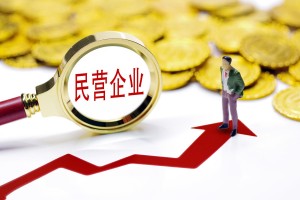 在首届民营经济法治研讨会上的研讨文章——中国为什么几乎没有世界级的大企业原因初探