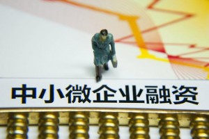 质量融资增信 破解融资困境