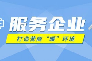 通过政企约见平台“我要会商” 海南三亚企业首次“一键”约见多个政府部门