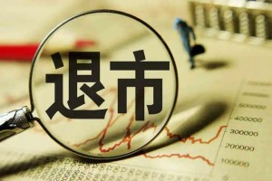 依法依纪严肃查处 保护投资者合法权益 两公司因重大违法被强制退市