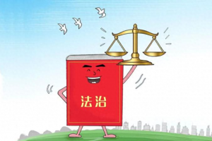 以法治来划定政府与市场的边界