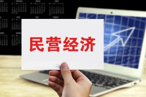 优环境 强服务 破壁垒 解难题 疏堵点 提信心 国务院报告明确进一步促进民营经济发展壮大重点工作