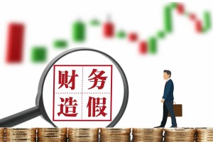 坚持“追首恶”与“打帮凶”并举 证监会严肃查处财务造假案件