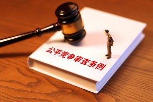 范围更加全面 机制更加健全 标准更加优化 监督保障有力 《公平竞争审查条例》全面升级
