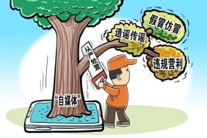 网信部门大力整治假冒仿冒“自媒体”账号