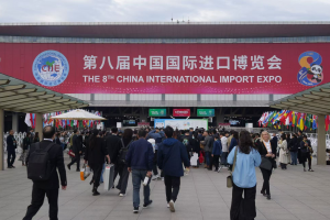 优势不断彰显 潜力持续释放 活力更加澎湃 中国市场强大“磁吸力”从何而来？