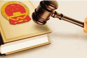 精准发力护航发展大局 高质高效赋能治理提升 2025年国家立法铿锵足音