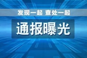 河北石家庄优化营商环境专项治理典型案件通报