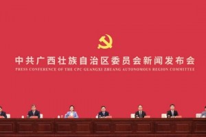持续扩大对内对外开放 打造双循环经营便利地 广西高标准推进营商环境提质增效
