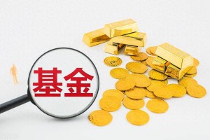 “投向哪 怎么投 谁来管？” 国家首次对政府投资基金作出系统规范