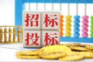 完善监管体系 规范市场运行 甘肃净化招投标领域政治生态