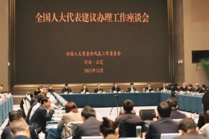 8314件全国人大代表建议全部办理完毕 涉及加快构建新发展格局、推动高质量发展的占比46.5%