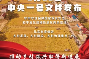 重磅！2022年中央一号文件发布