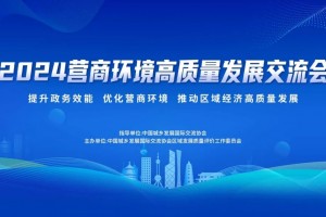 营商之翼：深化营商环境评价，助推经济腾飞新策略
