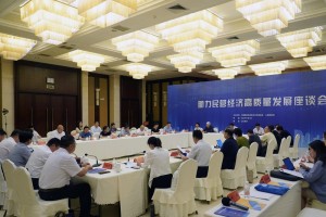 如何打通民营经济发展痛点、堵点？委员、专家们来开药方