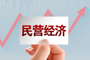 黑龙江省召开民营经济发展大会 全力优化发展环境 支持民营企业走向更广阔舞台