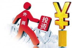 强化联动 精准施策 用好重点项目 引导外资企业深度融入本土产业链