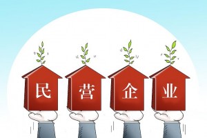 规范用权就是对民营企业合法权益的保护
