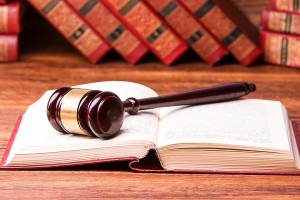 司法部发布第七批贯彻实施新修订行政复议法典型案例