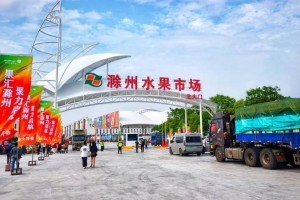 一个区域性水果市场也容不得“霸王条款”