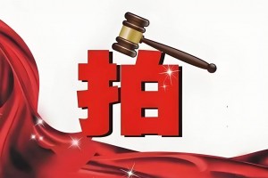 《关于促进网络拍卖规范健康发展的指导意见》印发