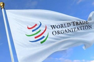 放弃 WTO的“特殊和差别待遇”意味着什么？