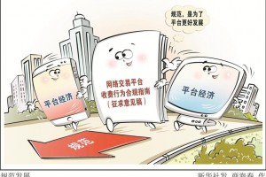 提升平台规范水平 促进持续健康发展