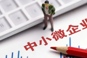 信用信息共享应用支持中小微企业融资系列典型案例