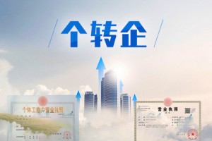 九部门出台意见 优化“个转企”办理流程