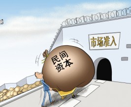 鼓励民间资本深度参与国家经济建设