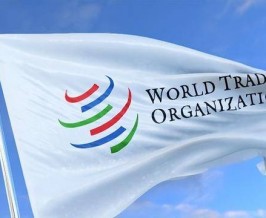 放弃 WTO的“特殊和差别待遇”意味着什么？