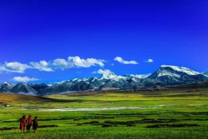 优化营商环境 西藏反垄断执法专项行动正式启动