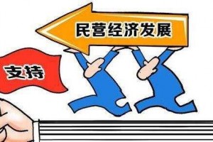 刘鹤：支持民营经济发展的方针政策没有变，现在没有改变，将来也不会改变