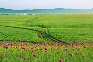 内蒙古发布四起优化法治化营商环境典型案例