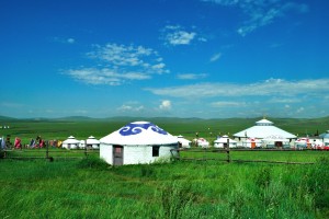 内蒙古：加快政府采购数字化转型 助力营商环境再提升