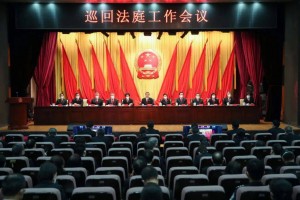 周强：持续深化最高人民法院巡回法庭改革和建设 服务建设更高水平的平安中国法治中国