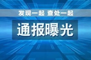 黑龙江省纪委监委通报5起破坏营商环境典型案例