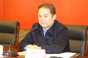 新疆正副厅长和政法书记涉嫌严重违纪被查